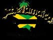 Little Jamaica Restaurant and Lounge